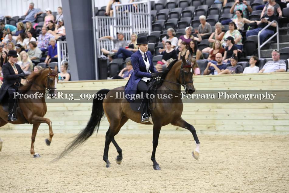Proof 22R13_09031