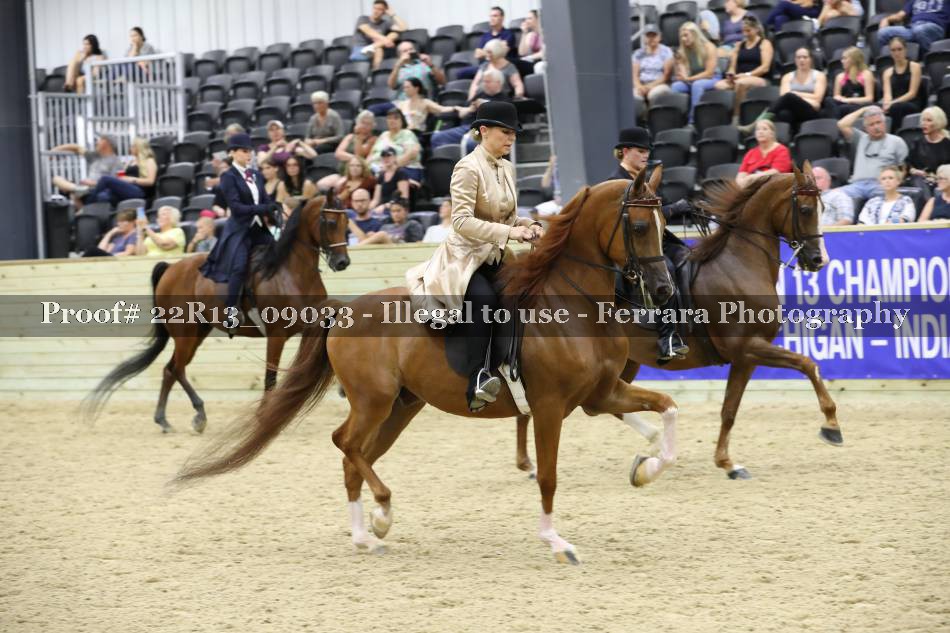 Proof 22R13_09033