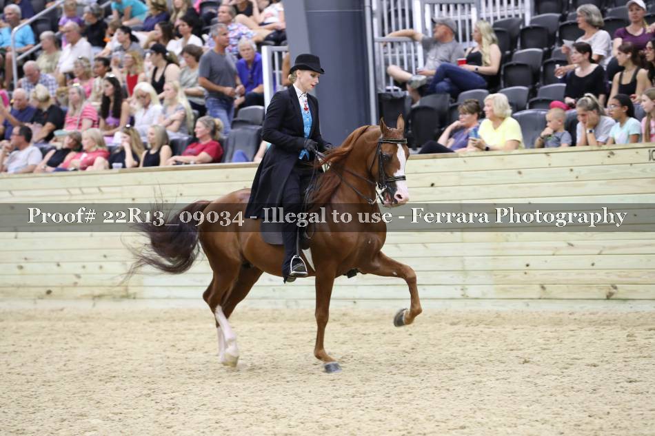 Proof 22R13_09034