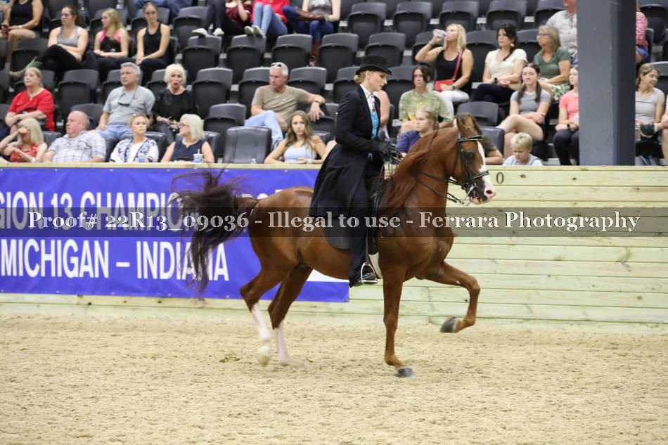 Proof 22R13_09036