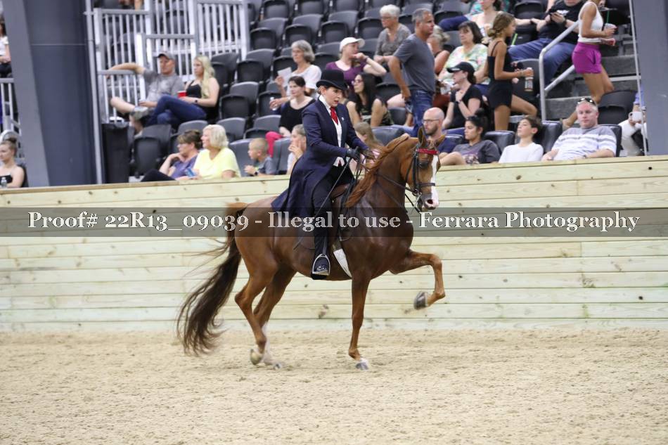 Proof 22R13_09039