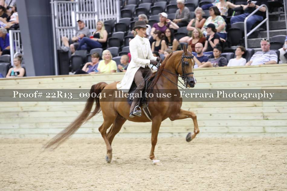 Proof 22R13_09041