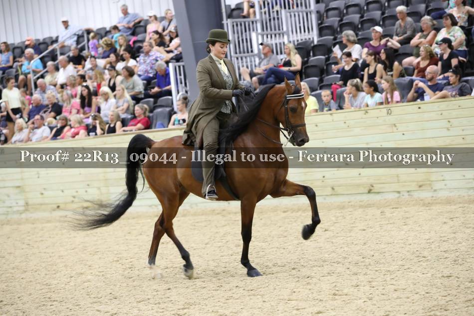 Proof 22R13_09044