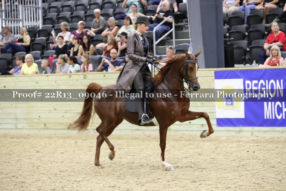 Proof 22R13_09046