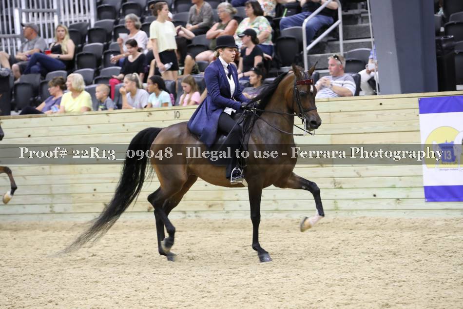 Proof 22R13_09048