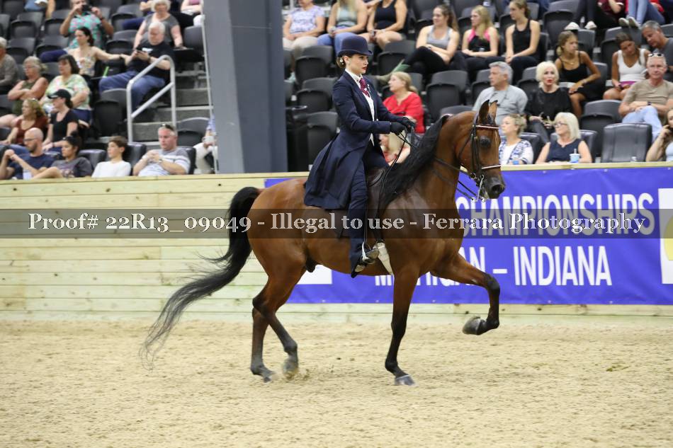 Proof 22R13_09049