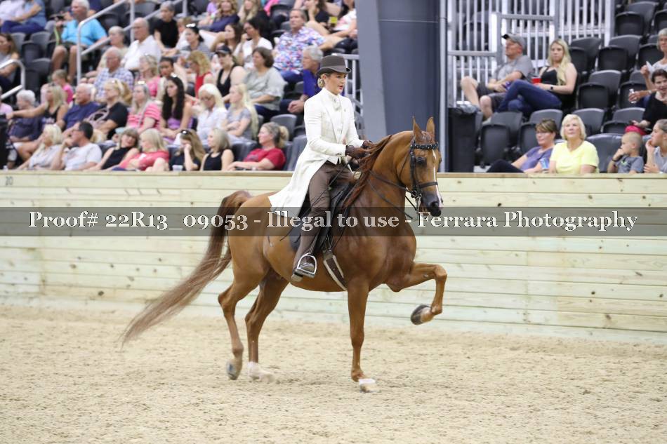 Proof 22R13_09053
