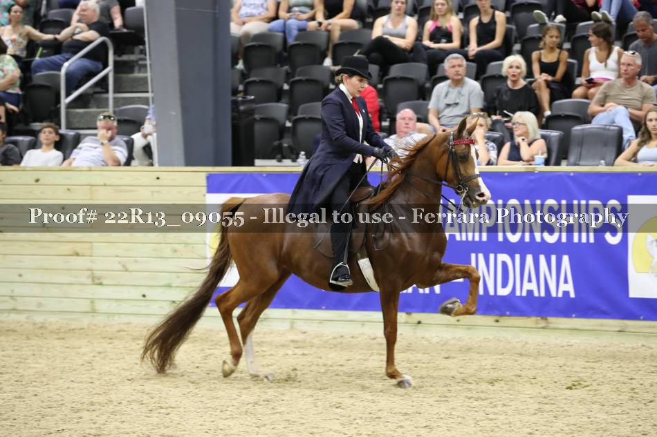 Proof 22R13_09055