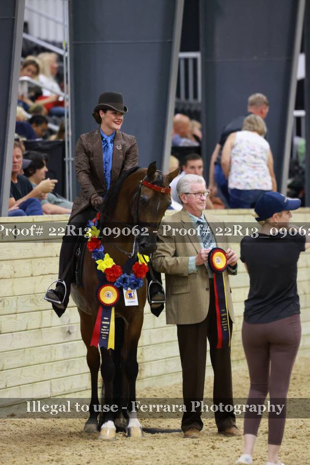Proof 22R13_09062