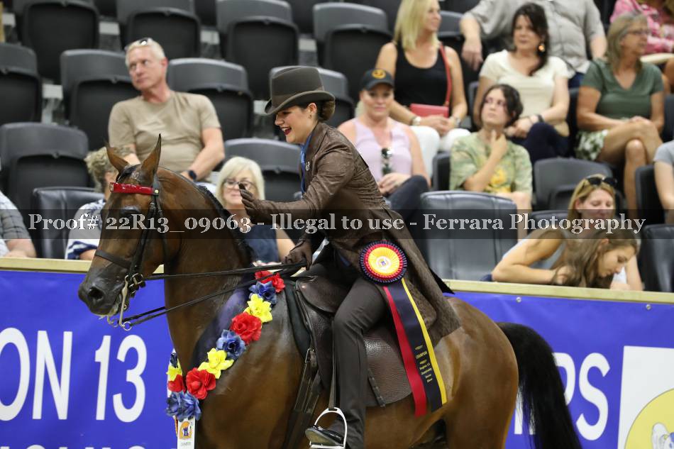 Proof 22R13_09063