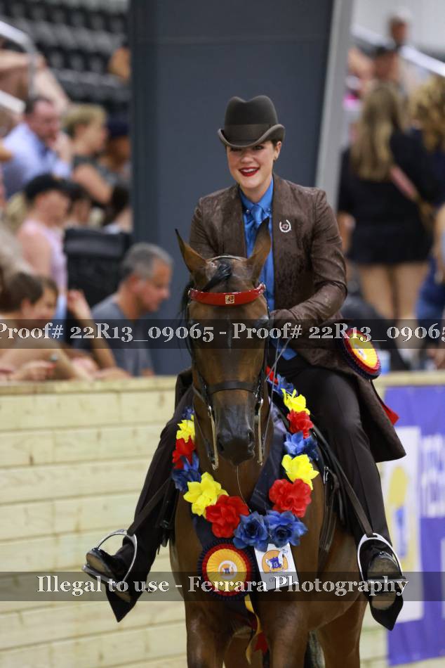 Proof 22R13_09065