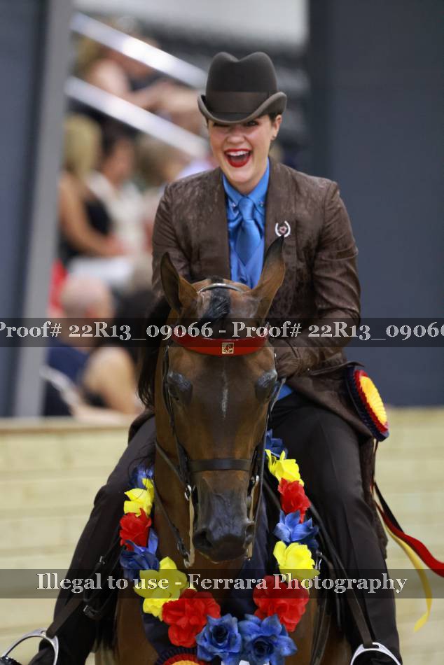 Proof 22R13_09066