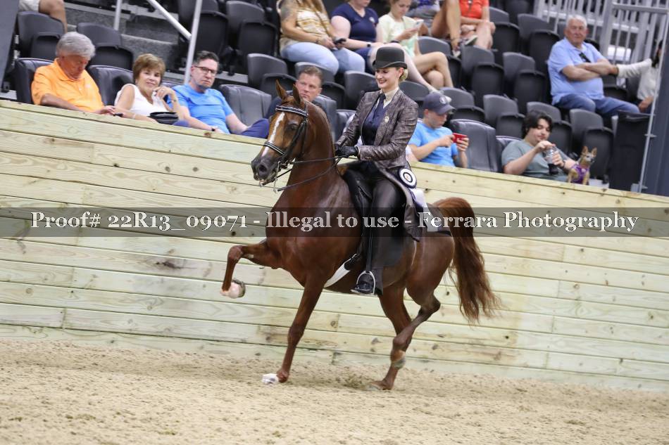 Proof 22R13_09071