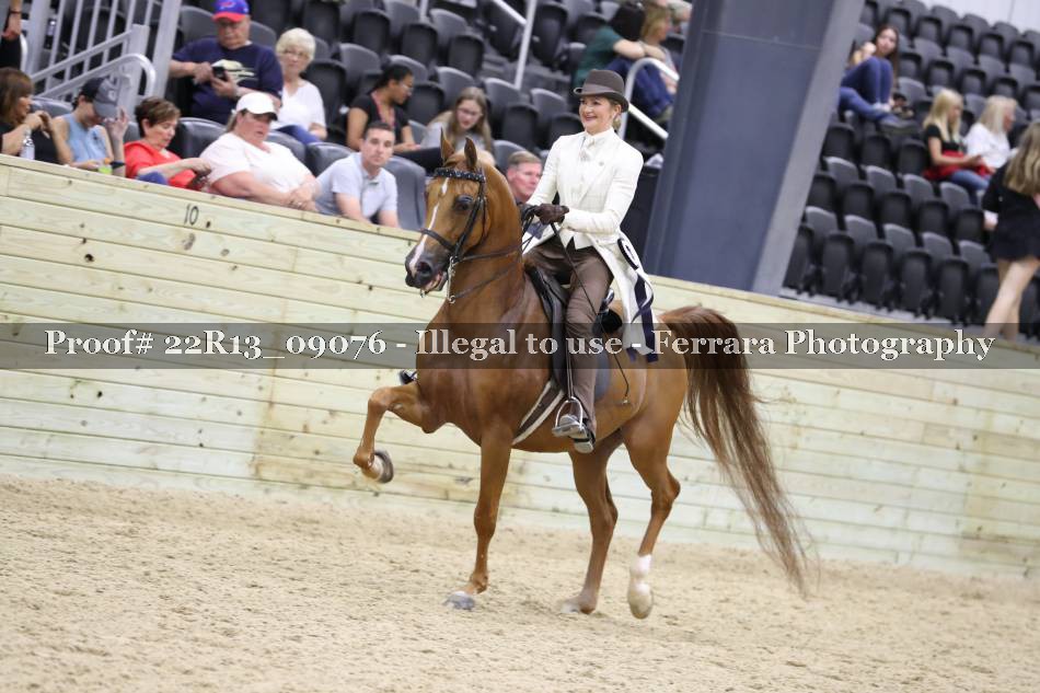 Proof 22R13_09076