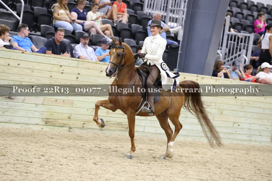 Proof 22R13_09077