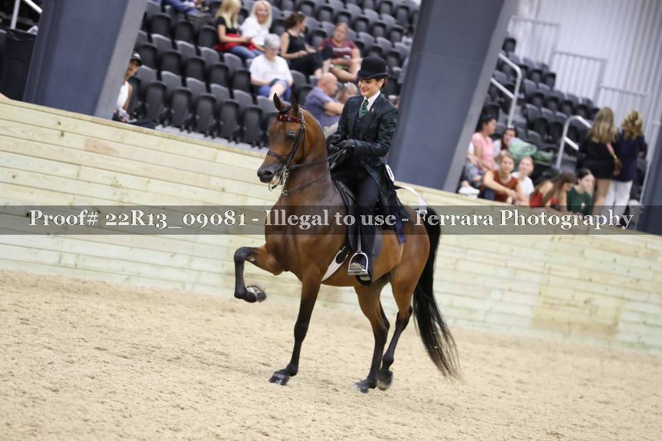 Proof 22R13_09081