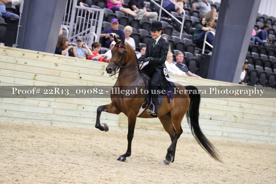 Proof 22R13_09082