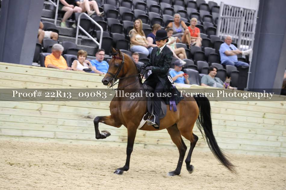 Proof 22R13_09083