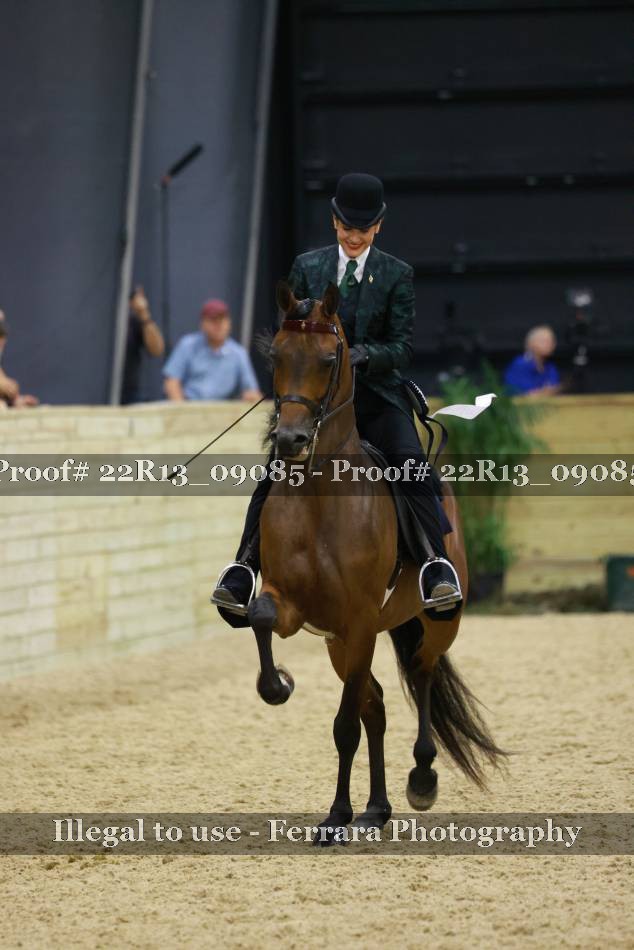 Proof 22R13_09085