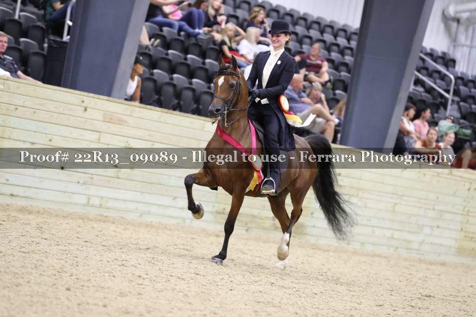 Proof 22R13_09089