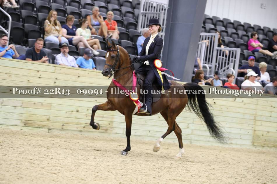 Proof 22R13_09091