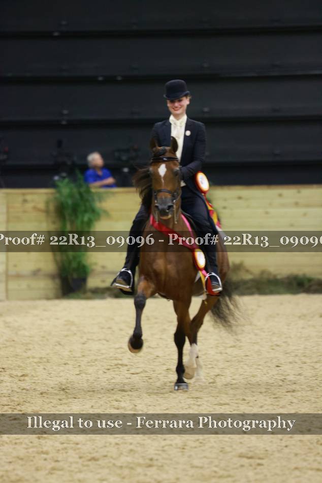 Proof 22R13_09096