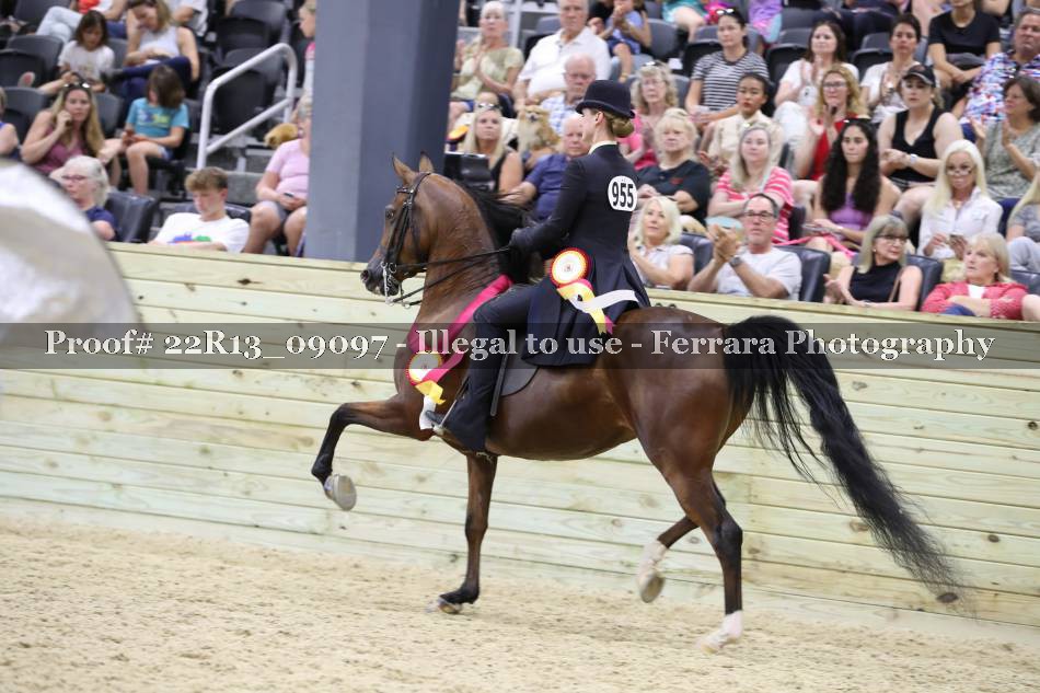 Proof 22R13_09097