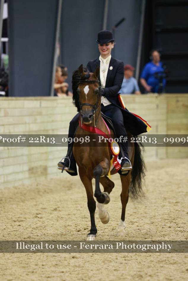 Proof 22R13_09098