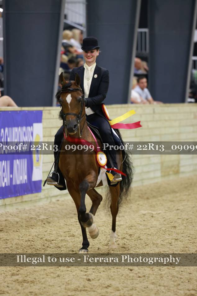 Proof 22R13_09099