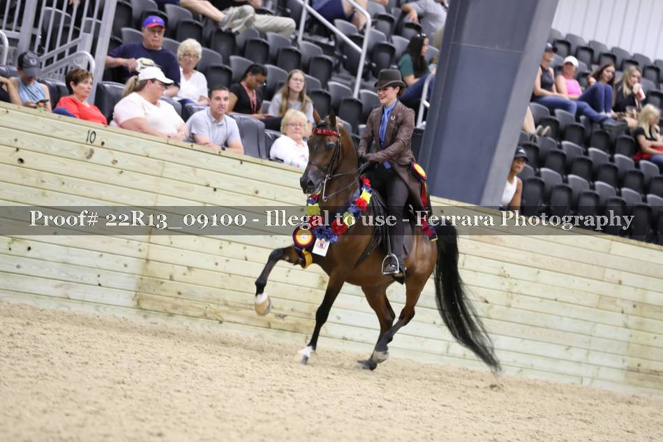Proof 22R13_09100