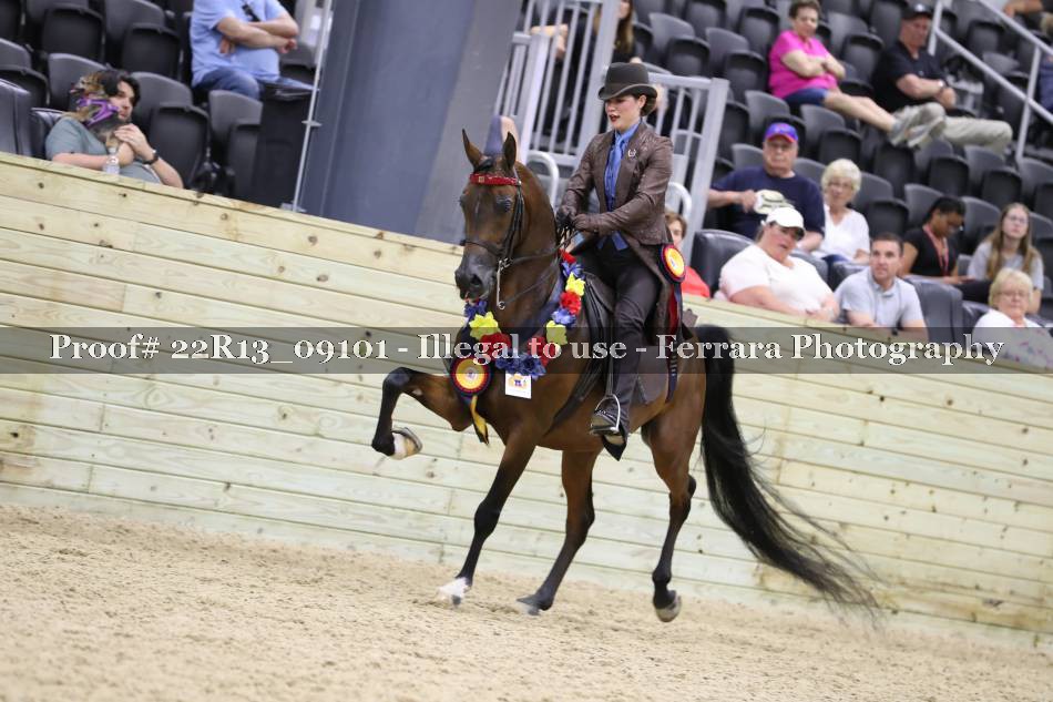 Proof 22R13_09101
