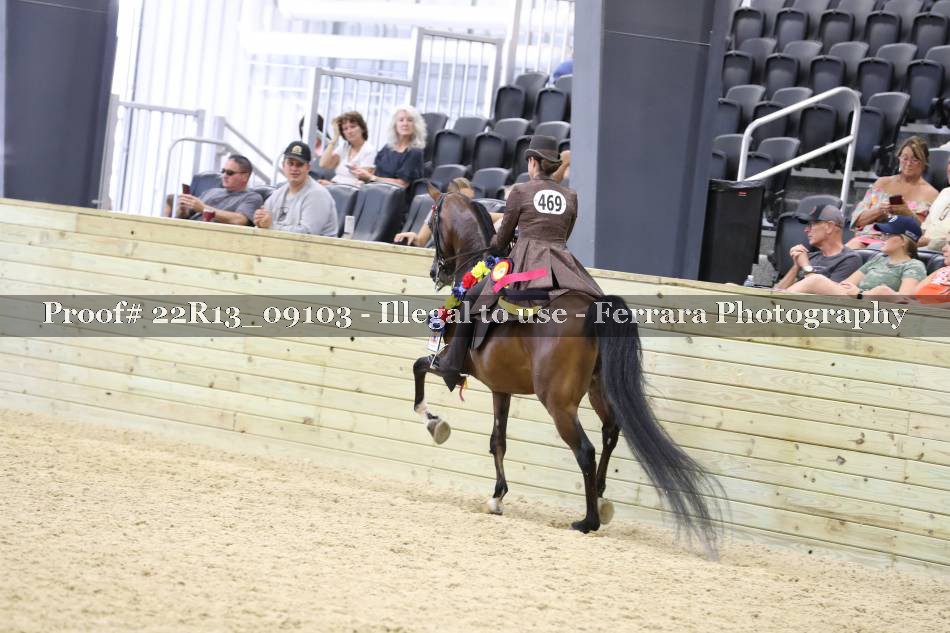 Proof 22R13_09103