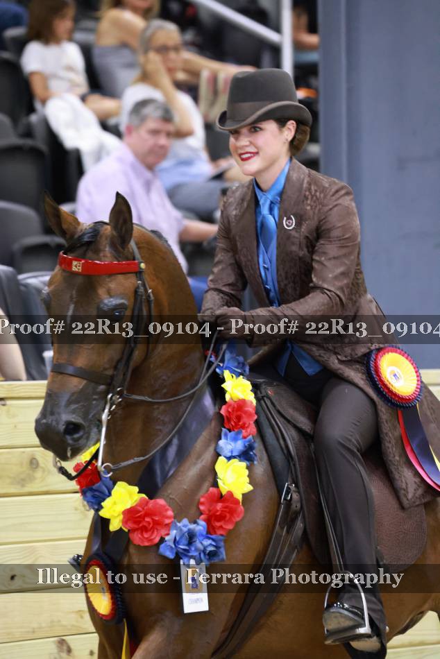 Proof 22R13_09104