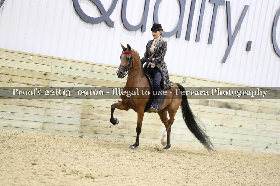 Proof 22R13_09106