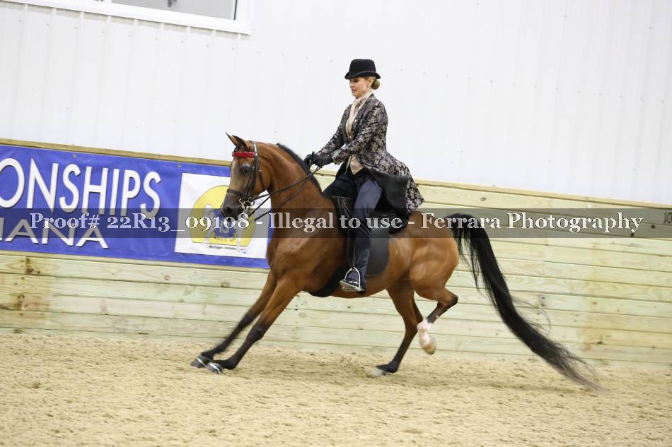 Proof 22R13_09108