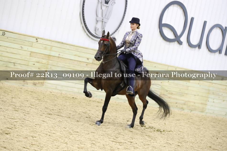 Proof 22R13_09109