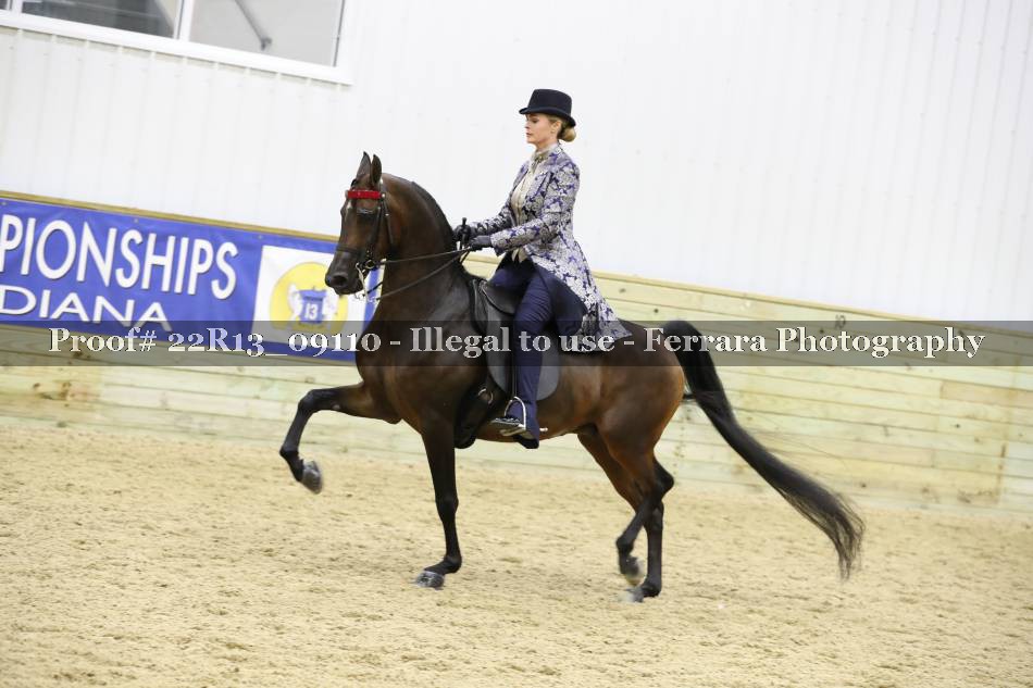 Proof 22R13_09110