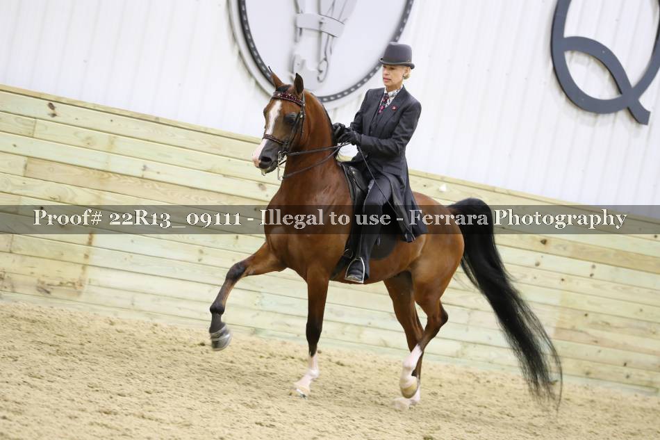 Proof 22R13_09111