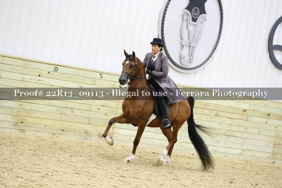 Proof 22R13_09113
