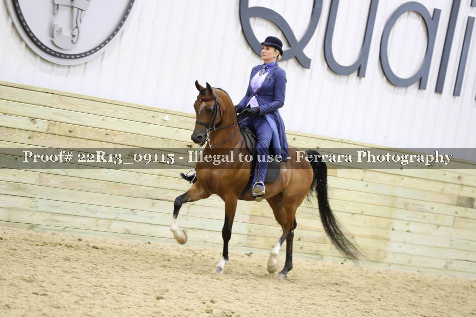 Proof 22R13_09115