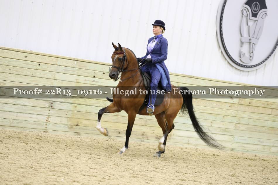 Proof 22R13_09116