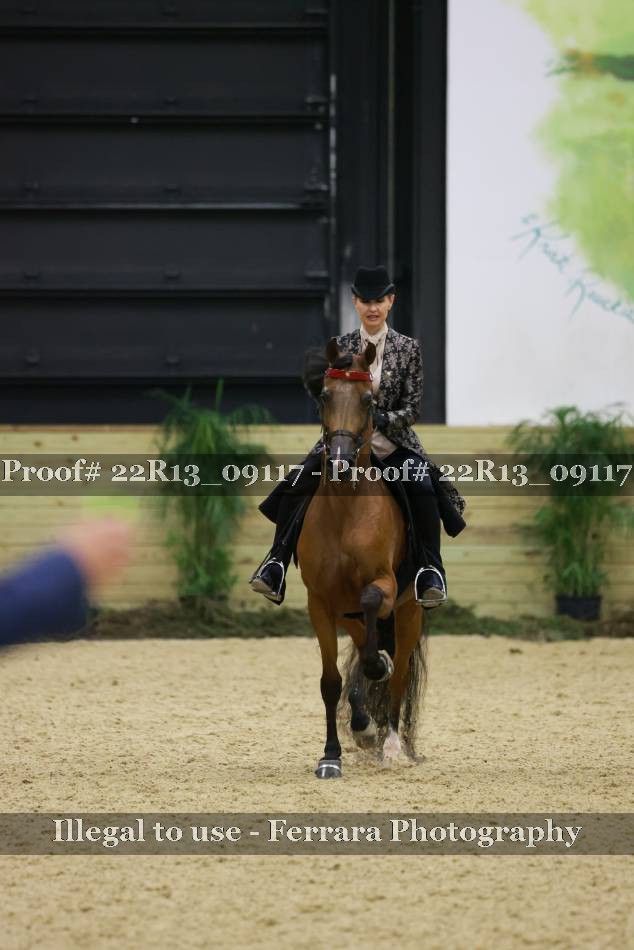 Proof 22R13_09117