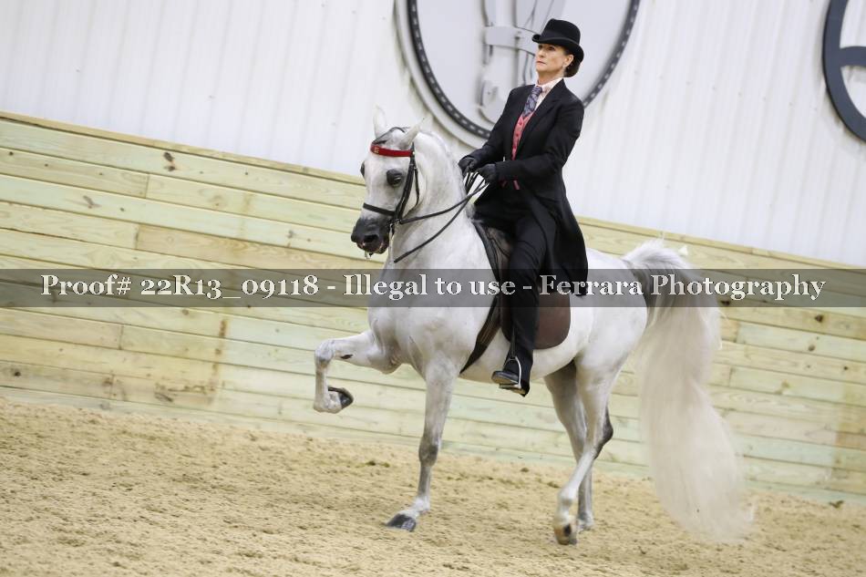 Proof 22R13_09118