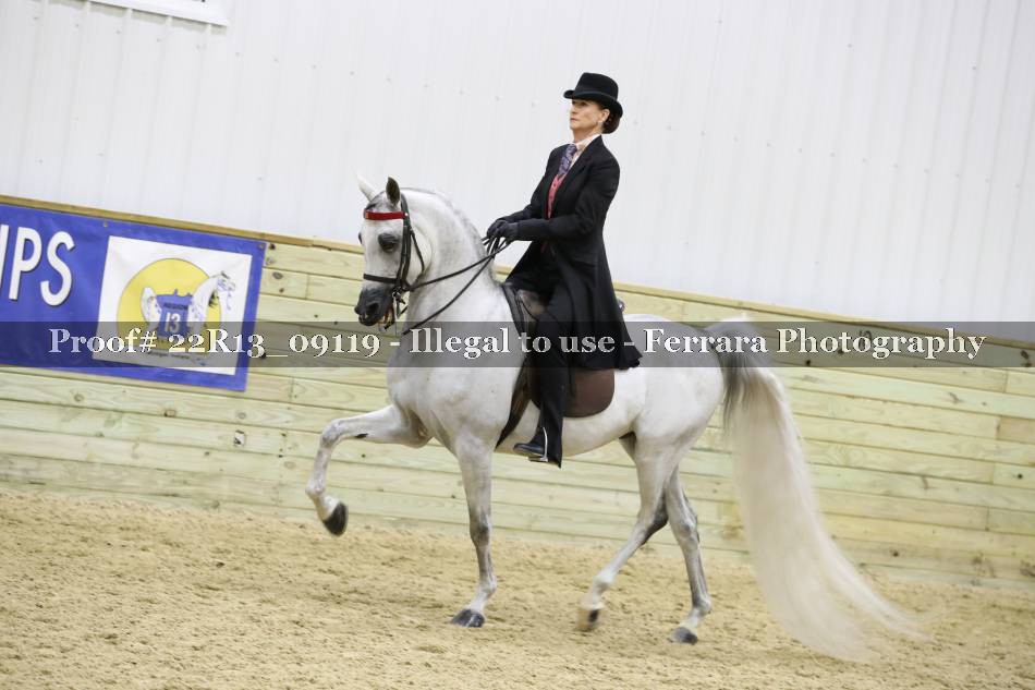 Proof 22R13_09119