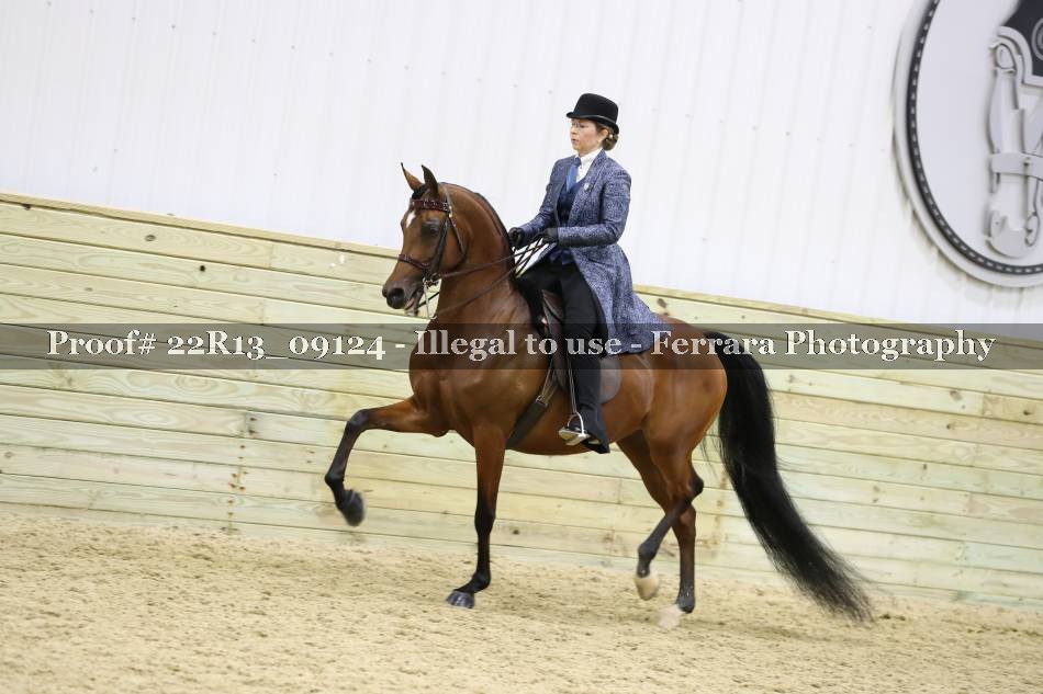 Proof 22R13_09124