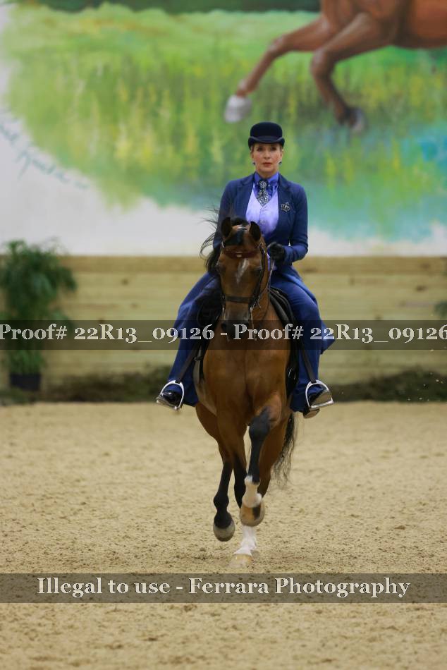 Proof 22R13_09126