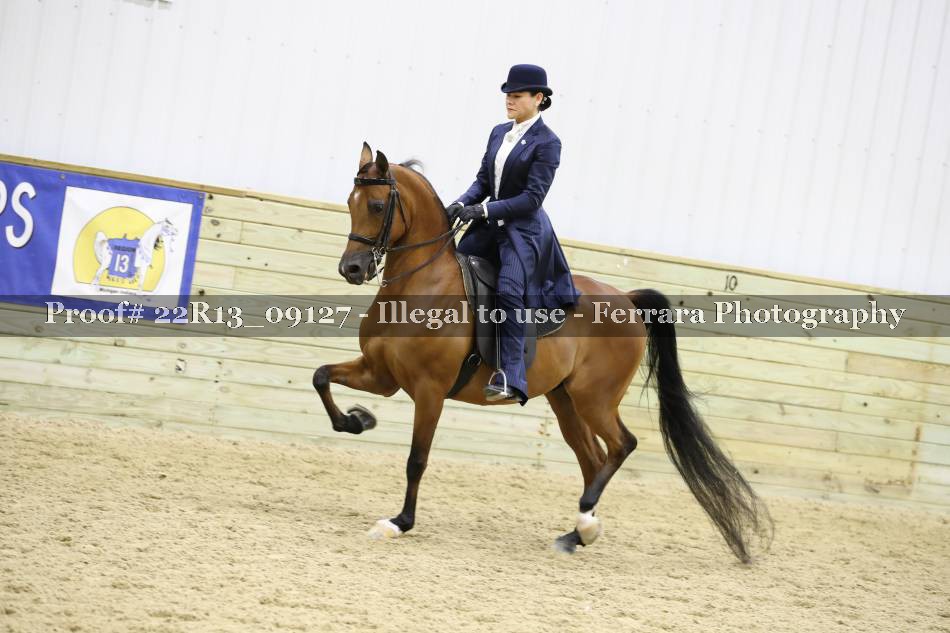 Proof 22R13_09127