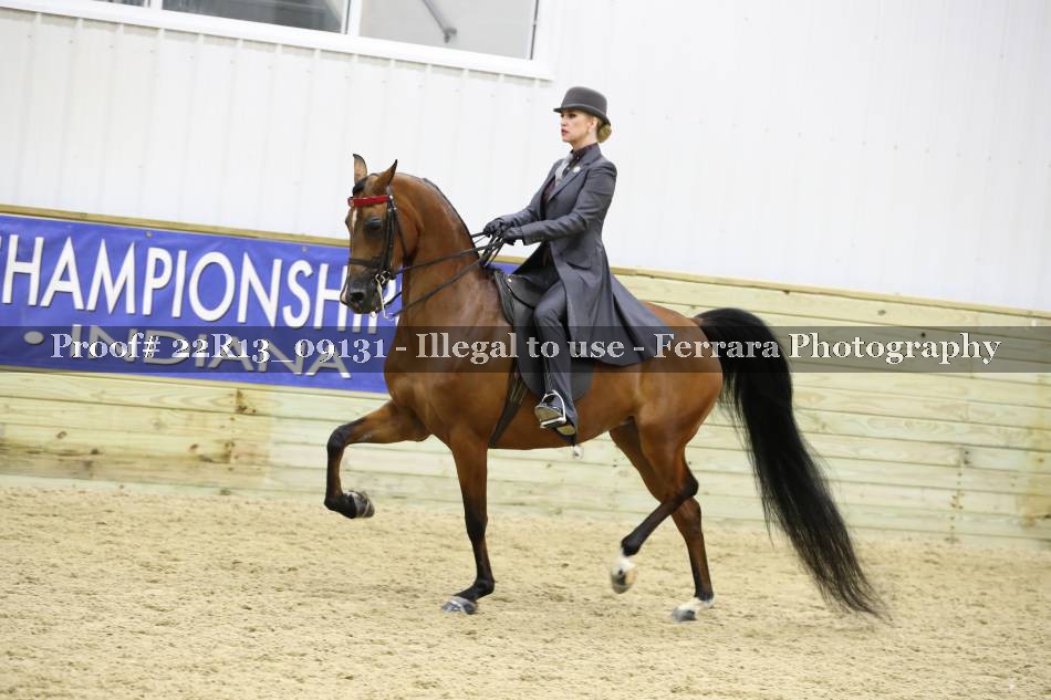 Proof 22R13_09131