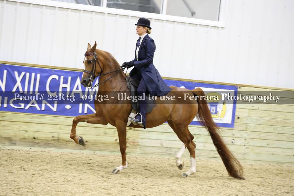 Proof 22R13_09132