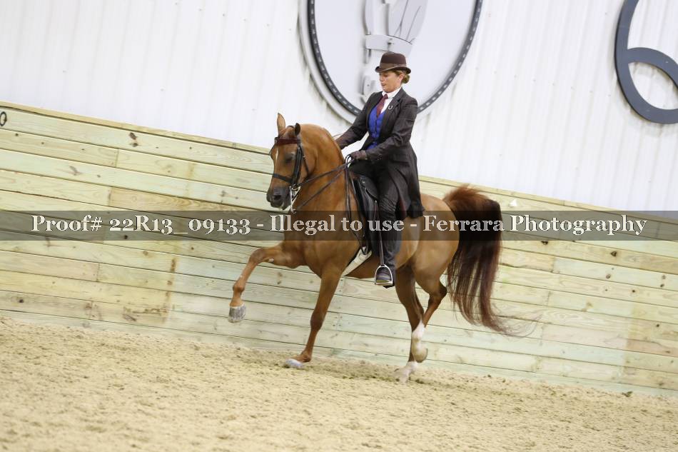 Proof 22R13_09133